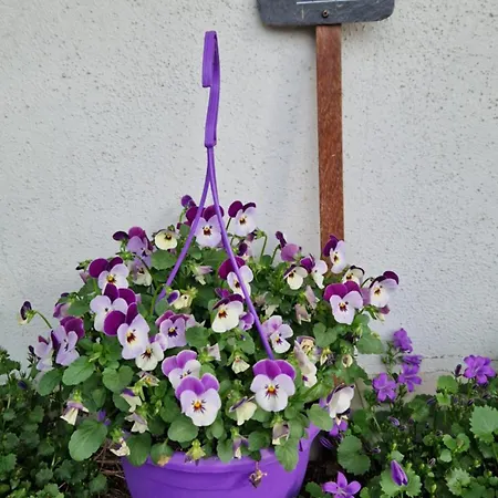 Pensionat L'hebergerie